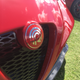 Illustration for article titled Alfa car show pic dump